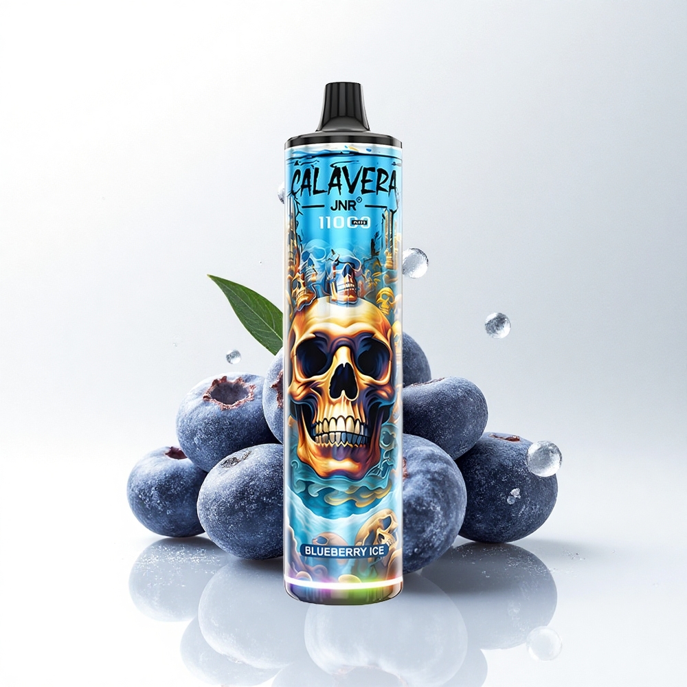 JNR Calavera 11000 Blauwe Bes IJs met Type-C en 21ml