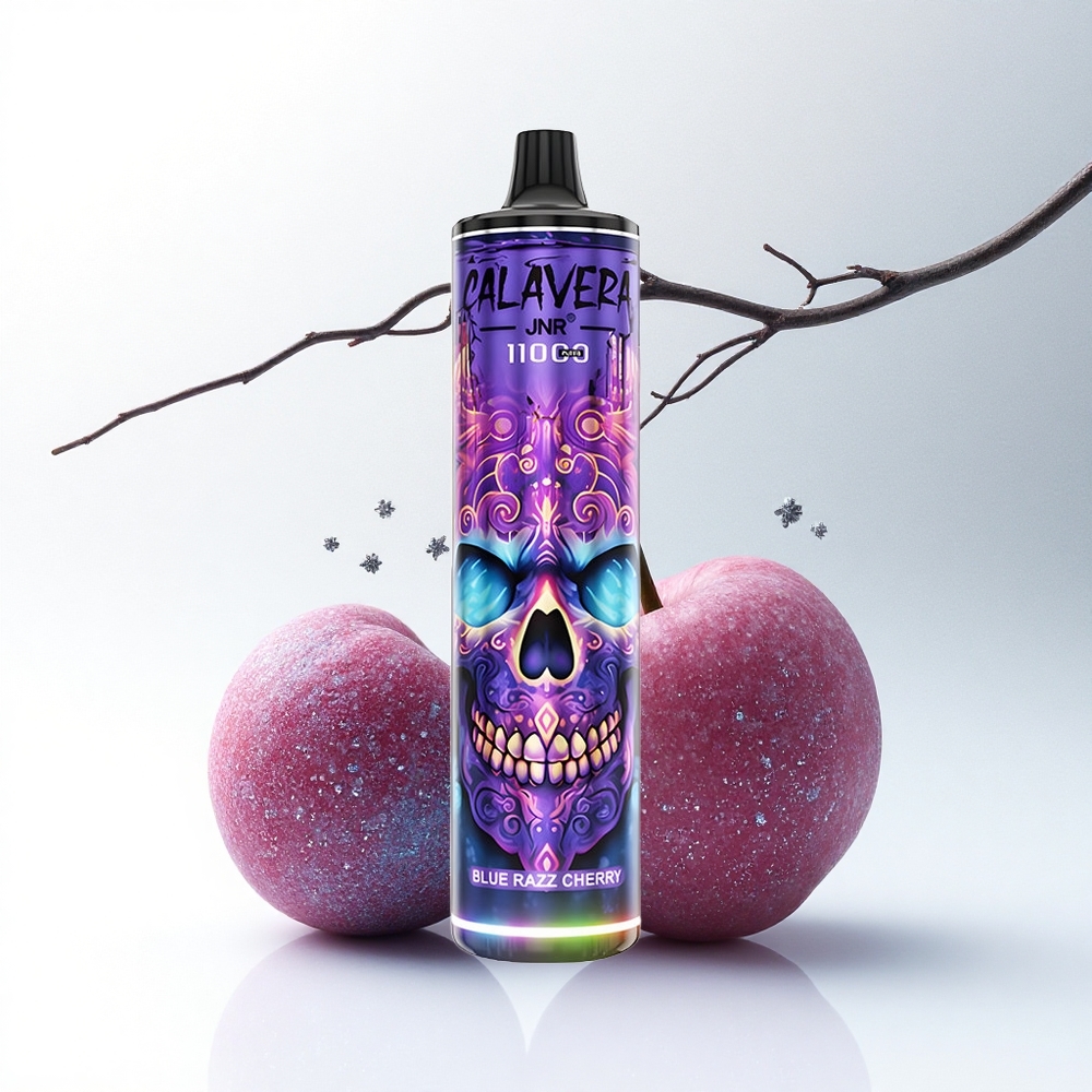 JNR Calavera 11000 Blauwe Framboos Kers Type-C 850mAh 21ml