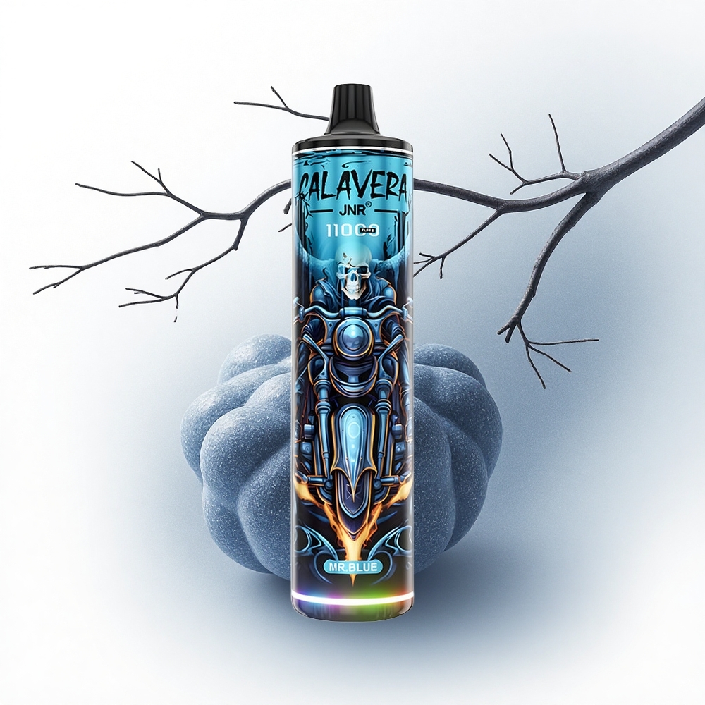 JNR Calavera 11000 Blauwe Heer Type-C 850mAh 21ml