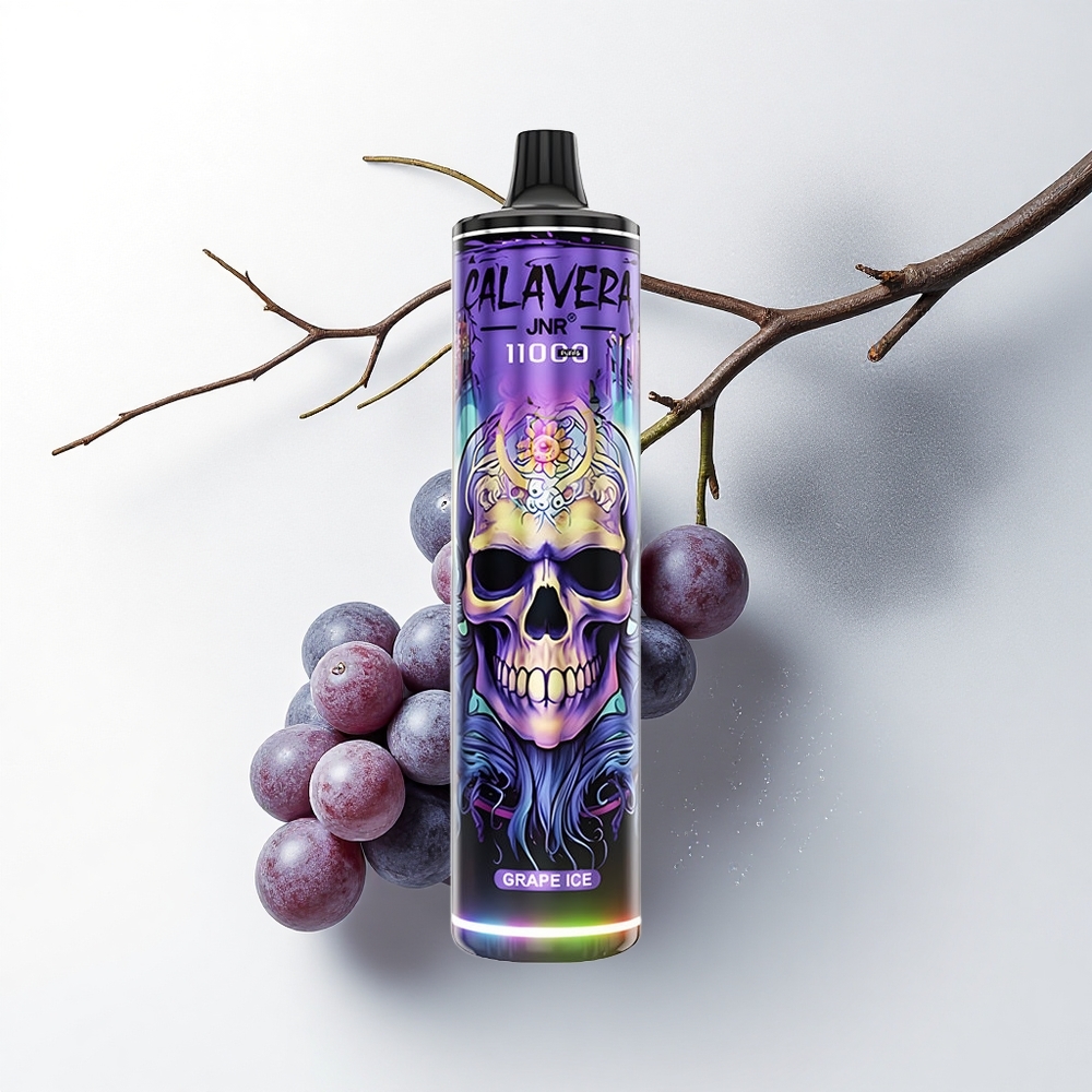 JNR Calavera 11000 Druivenijs Mesh Coil Type-C 21ml