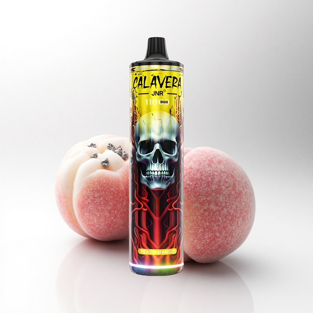 JNR Calavera 11000 Perzik Mango Type-C 850mAh Mesh