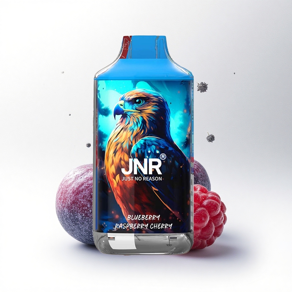 JNR Falcon 16000 Blauwe Bes Framboos Kers Dual Mesh 850 mAh Type C LED