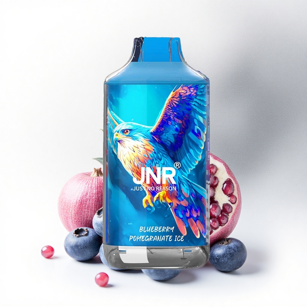 JNR Falcon 16000 Blauwe Bes Granaatappel IJs 22ml Dual Mesh