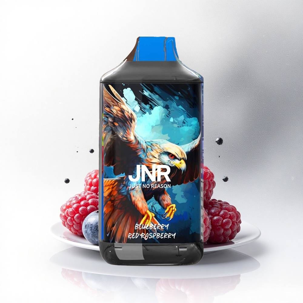 JNR Falcon 16000 Blauwe Bes Rode Framboos 850 mAh Dual Mesh