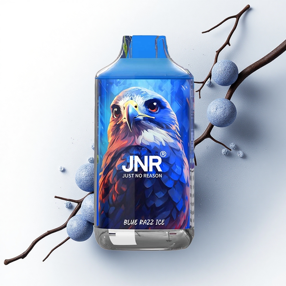 JNR Falcon 16000 Blauwe Framboos IJs Dual Mesh 22ml