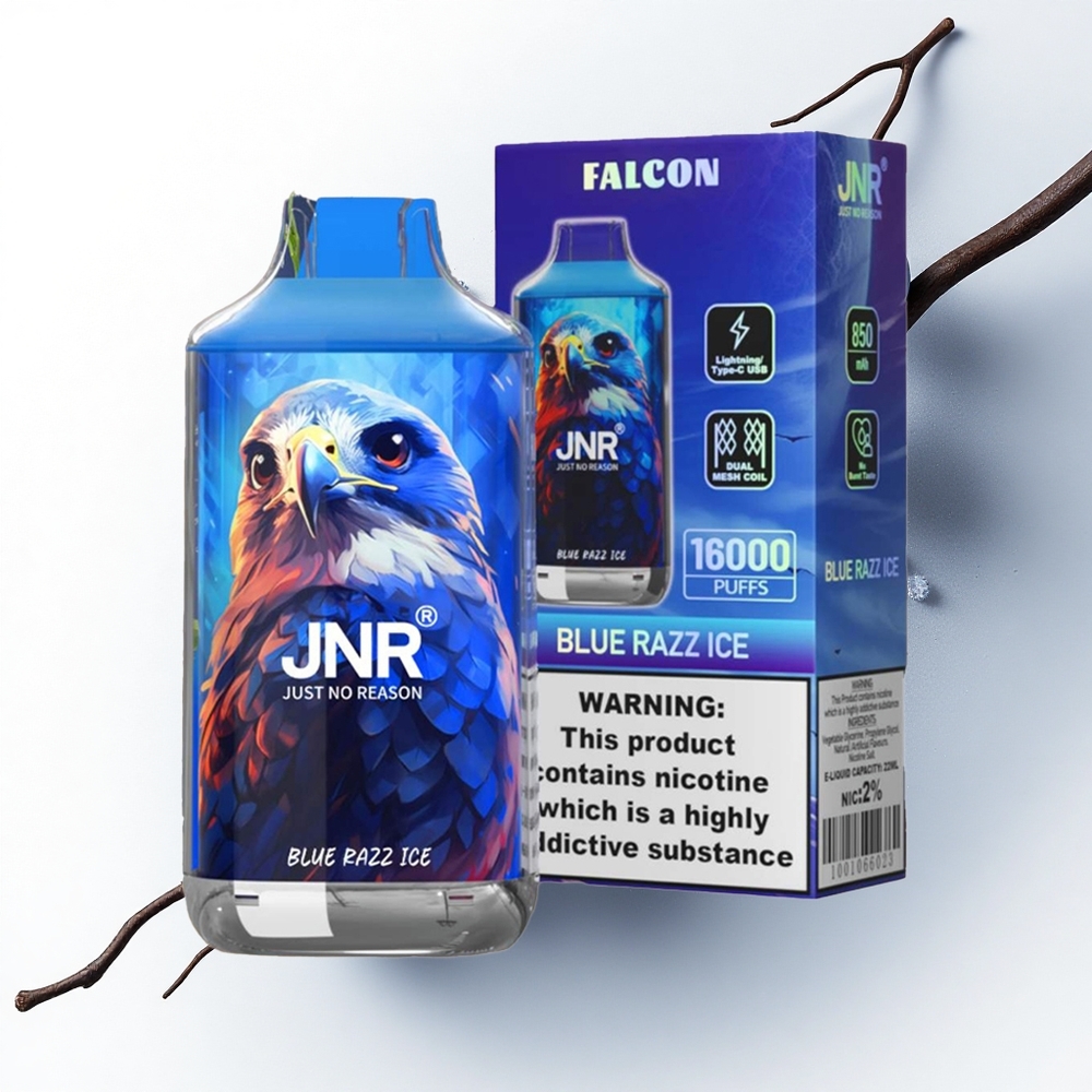 JNR Falcon 16000 Blauwe Framboos IJs Dual Mesh 22ml
