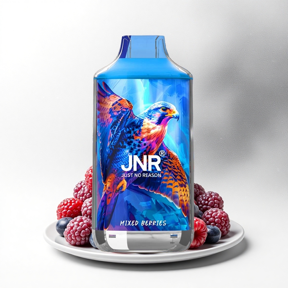 JNR Falcon 16000 Gemengde Bessen Dual Mesh 22ml