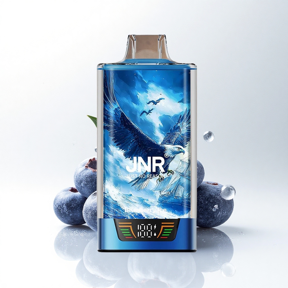 JNR Falcon Pro 28000 Blauwe Bes IJs 30ml 950mAh Dual Mesh