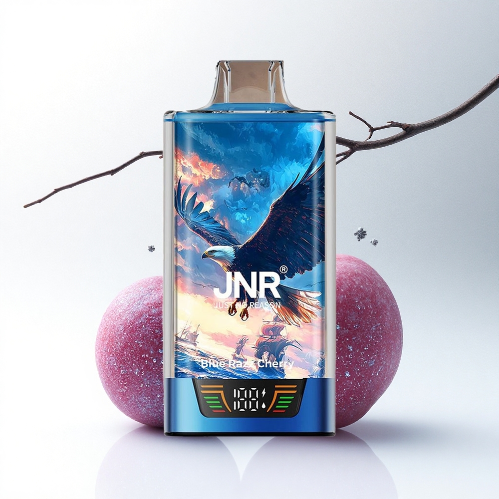 JNR Falcon Pro 28000 Blauwe Framboos Kers 30ml Dual Mesh USB-C
