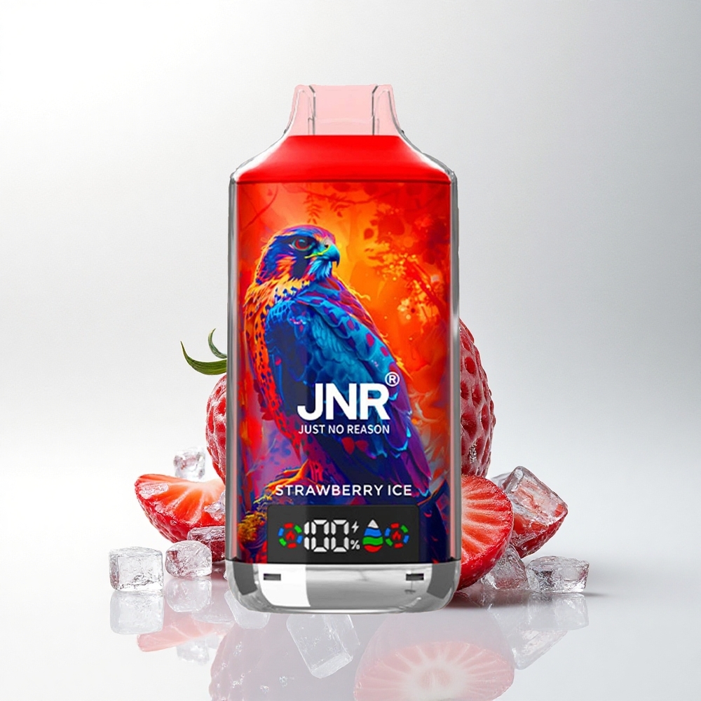 JNR Falcon X 18000 Aardbei IJs Dual Mesh 24ml Type-C