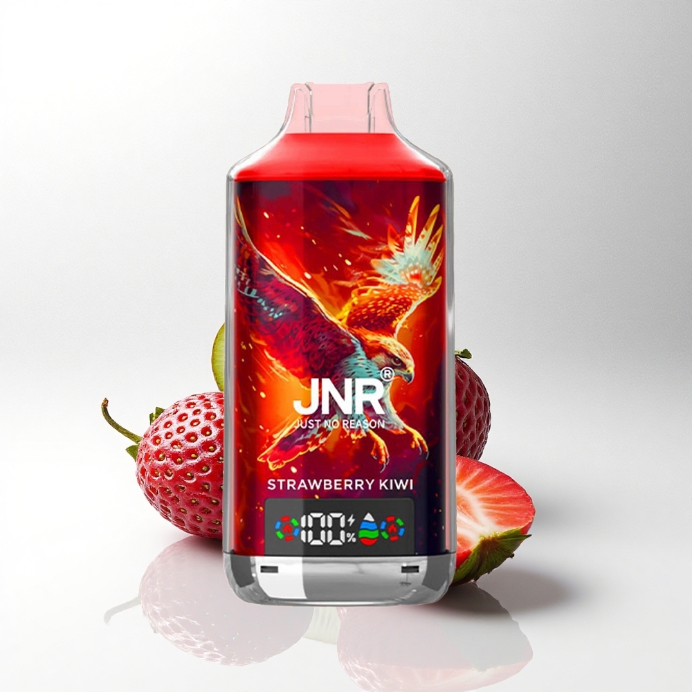 JNR Falcon X 18000 Aardbei Kiwi 24ml Dual Mesh Type-C