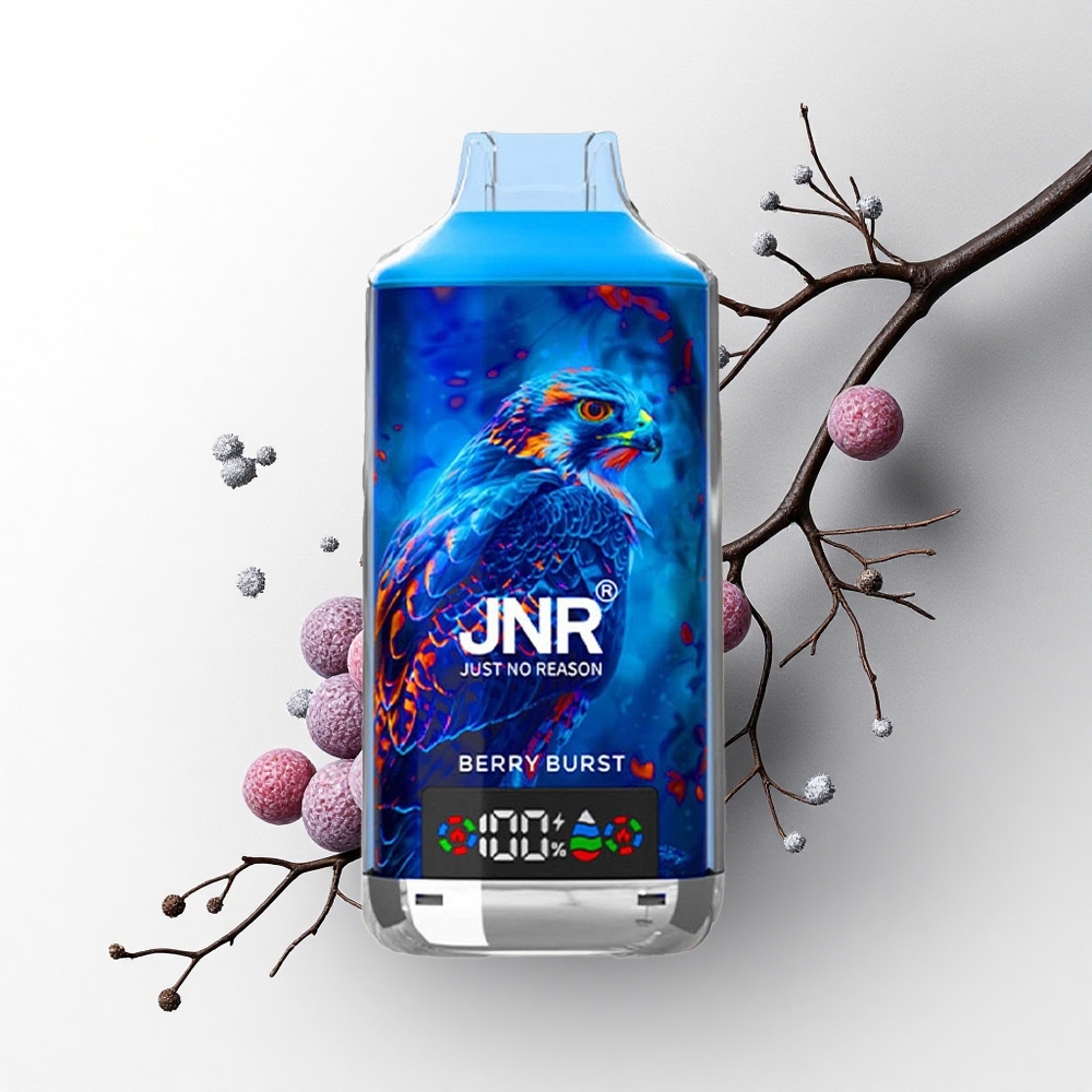 JNR Falcon X 18000 Bessenuitbarsting 24ml Dual Mesh