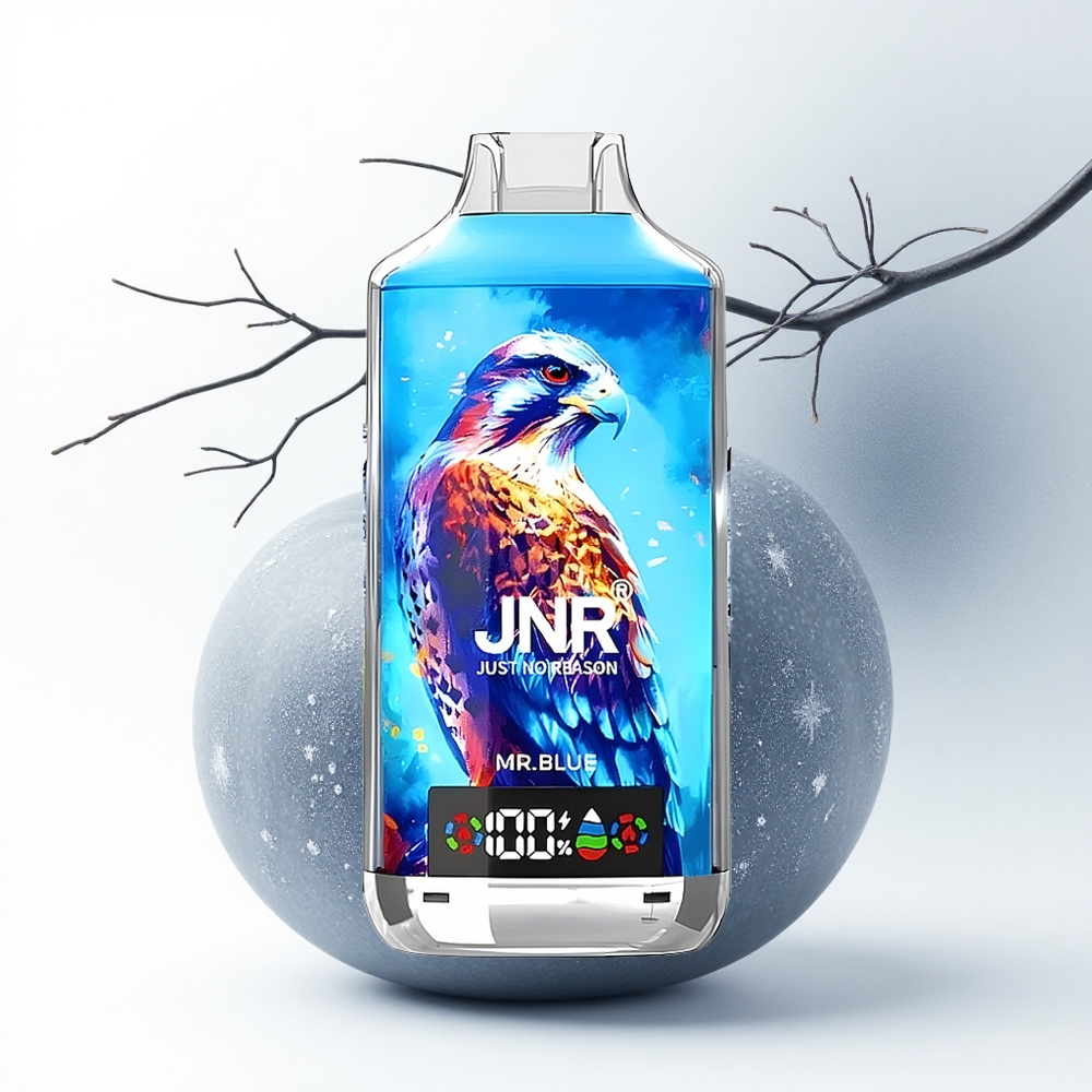 JNR Falcon X 18000 De Blauwe Dubbel Mesh 24ml Type-C