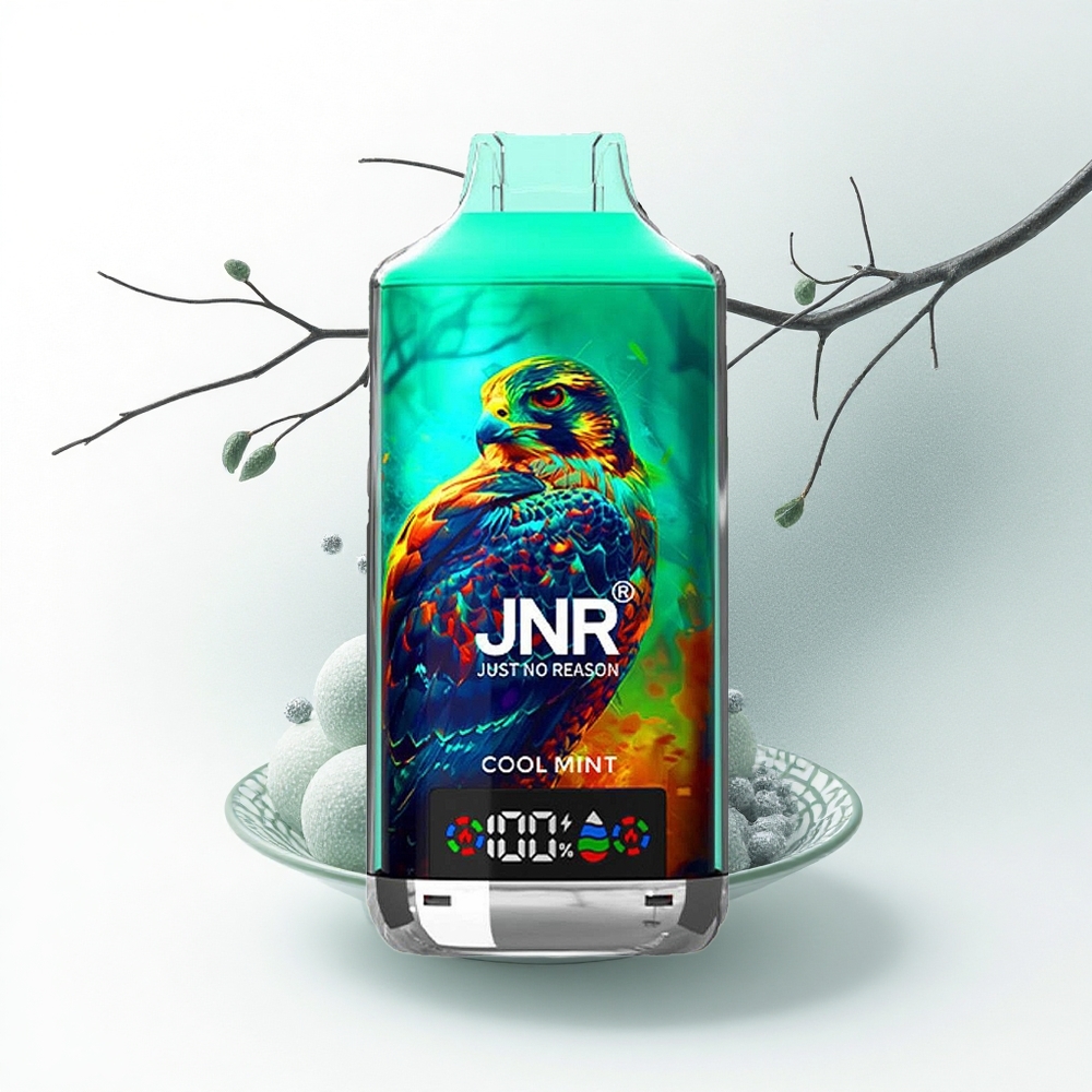 JNR Falcon X 18000 Koele Munt 18000 Dual Mesh 24ml