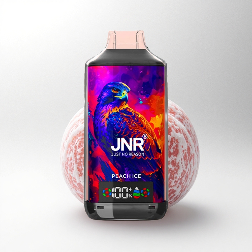 JNR Falcon X 18000 Perzijs IJs 24ml Dual Mesh