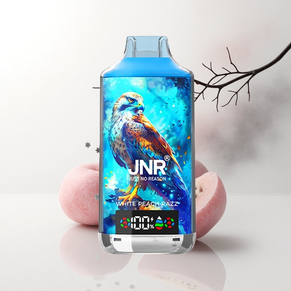 JNR Falcon X 18000 Witte Perzik Razz 24ml Dual Mesh