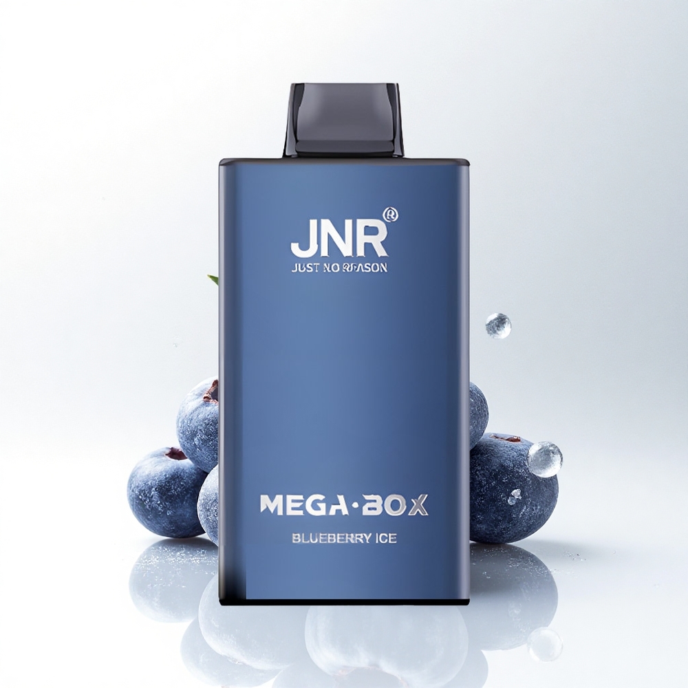 JNR Mega Box 25000 Blauwe Bes IJs Dual Mesh Type-C