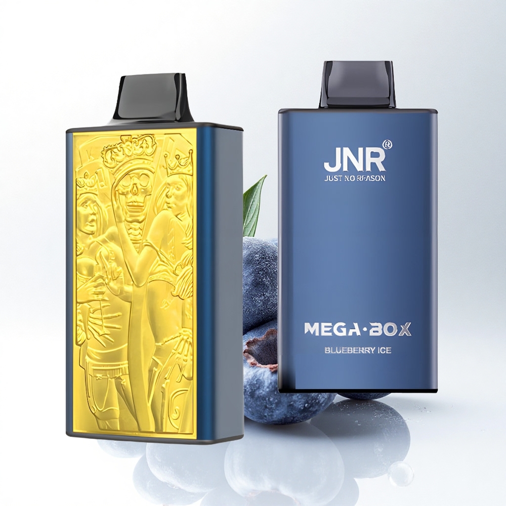 JNR Mega Box 25000 Blauwe Bes IJs Dual Mesh Type-C