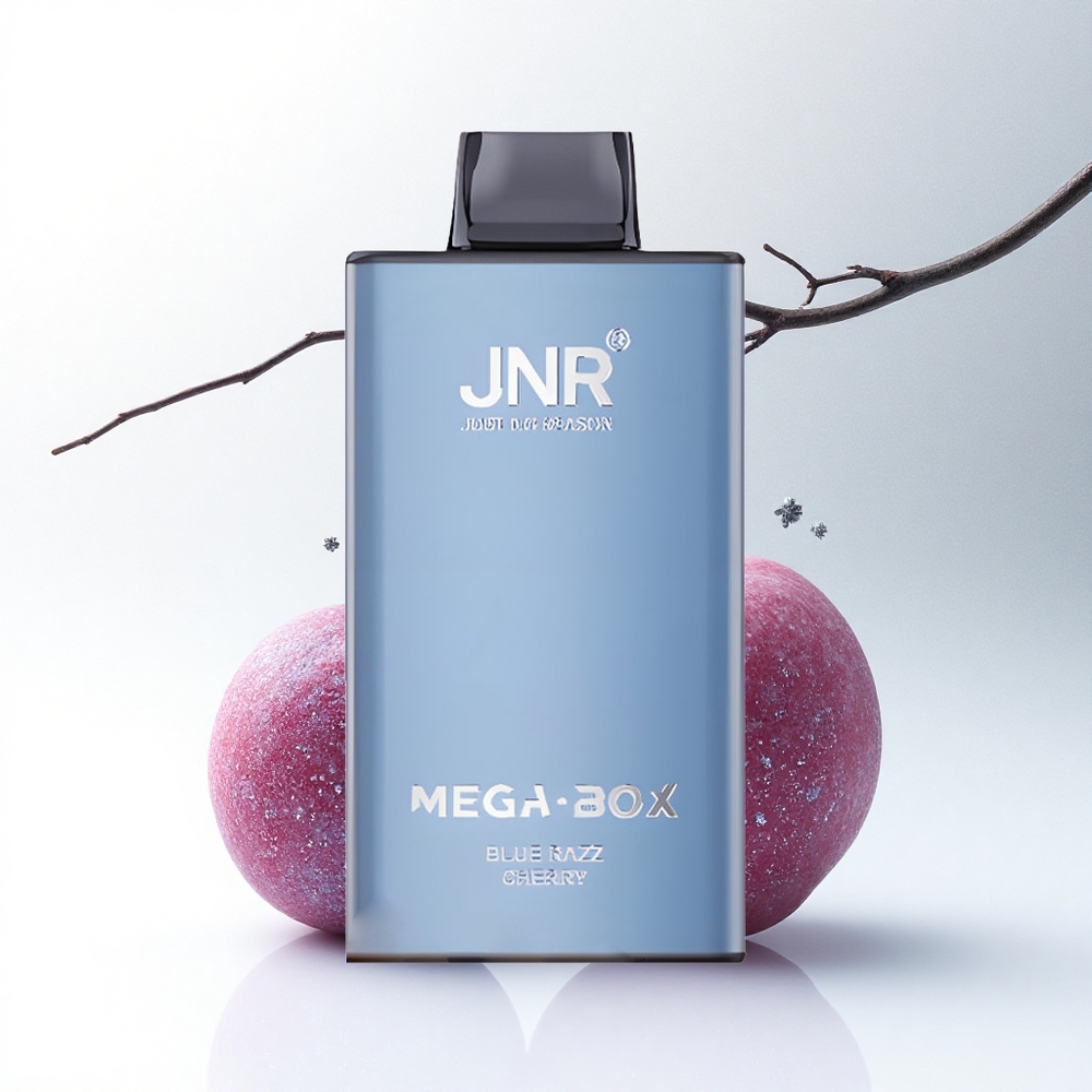 JNR Mega Box 25000 Blauwe Framboos Kers Type-C & Dual Mesh