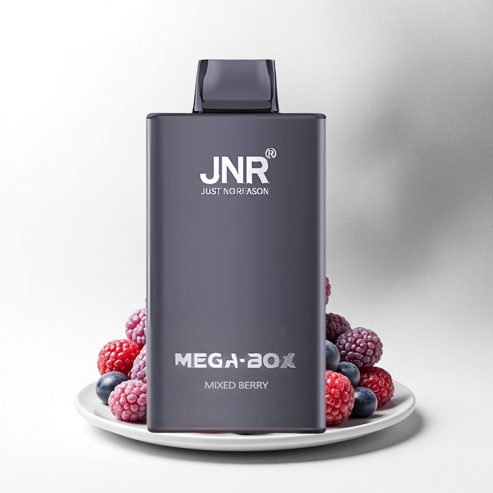 JNR Mega Box 25000 Gemengde Bes Dual Mesh & Type-C Snellaad