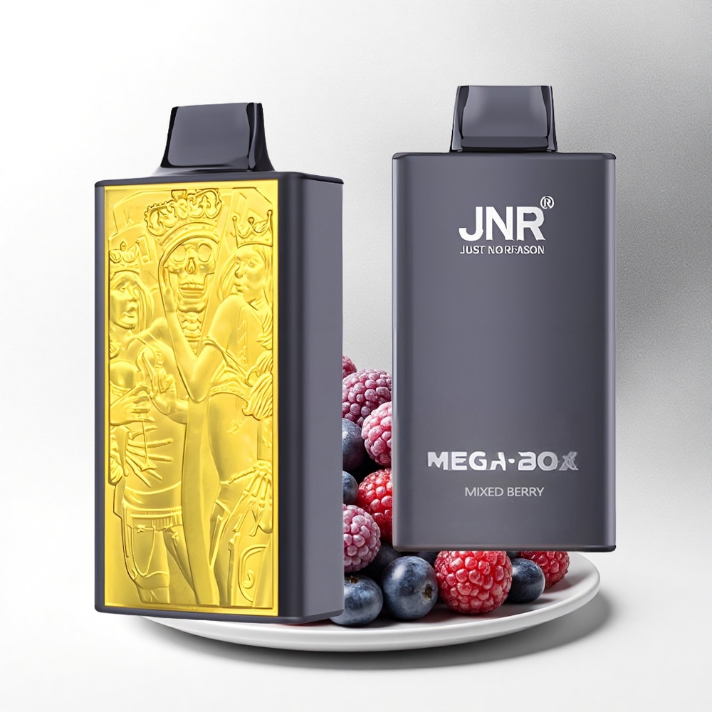 JNR Mega Box 25000 Gemengde Bes Dual Mesh & Type-C Snellaad