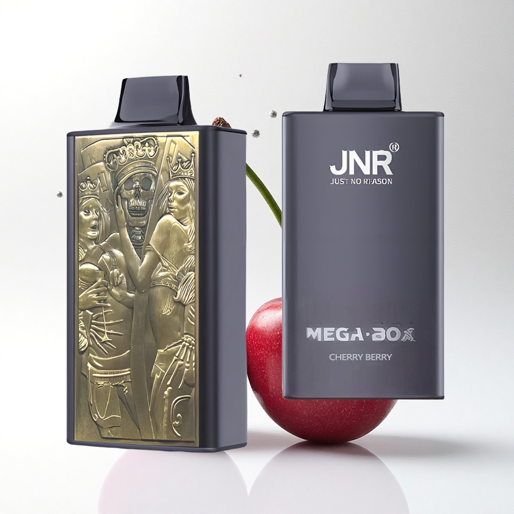 JNR Mega Box 25000 Kersbes Type-C Dual Mesh 30ml