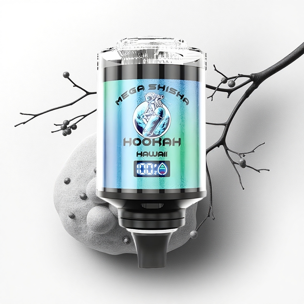 JNR Mega Shisha Hookah 100K Hawaii 60ml 2200mAh Type-C