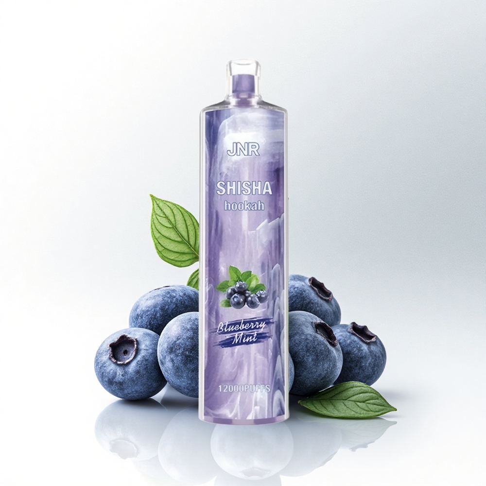 JNR Shisha Hookah 12000 Blauwe Bes Munt 24ml 750mAh