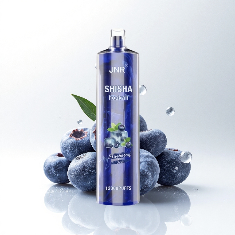 JNR Shisha Hookah 12000 Blauwebes IJs 24ml Mesh