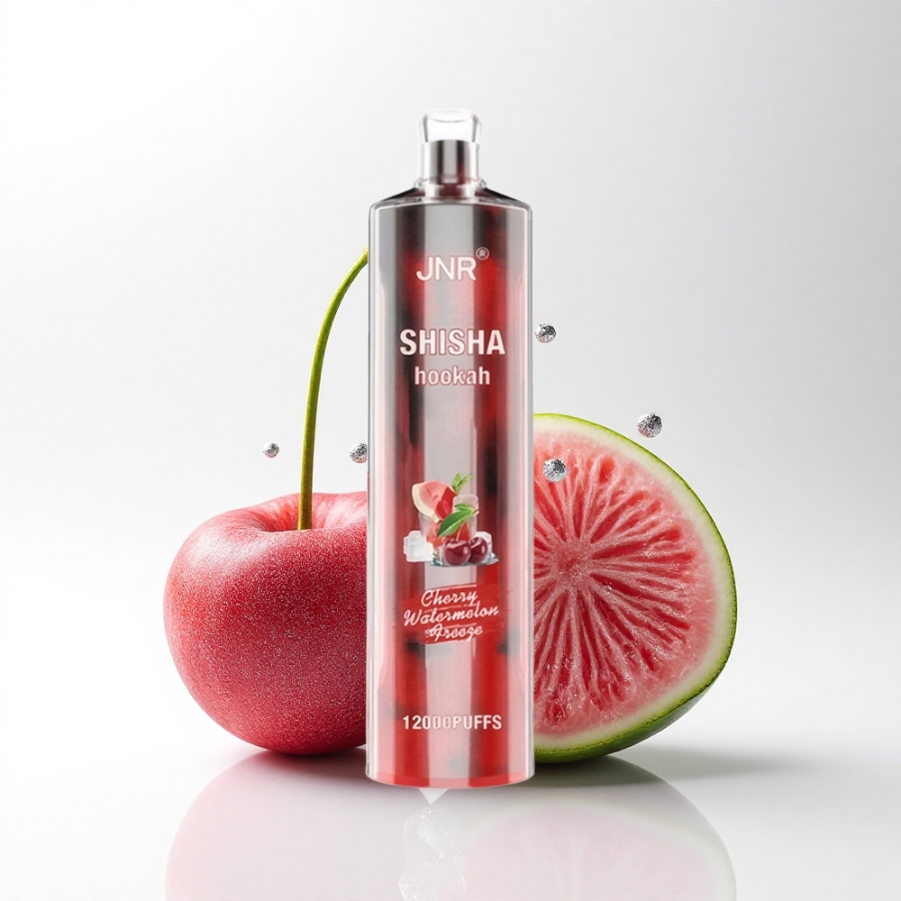 JNR Shisha Hookah 12000 Kers Watermeloen Vries met 24ml en Type-C Opladen
