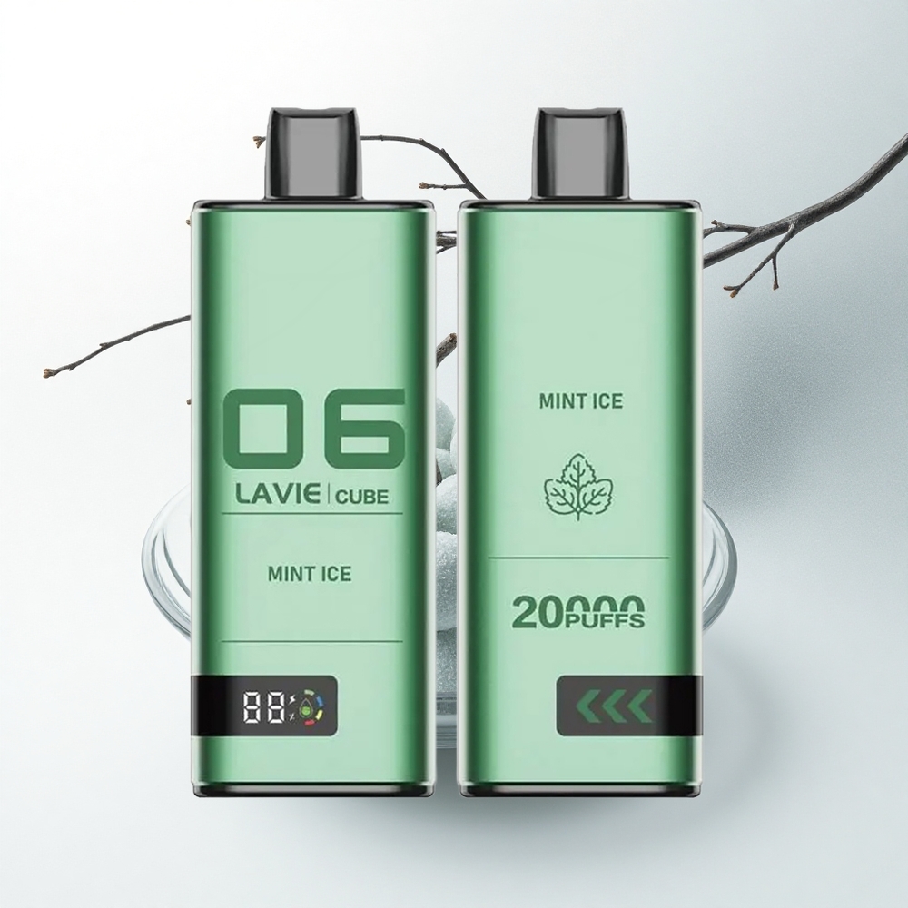 Lavie Cube 20000 Puffs Munt IJs 28ML Type C