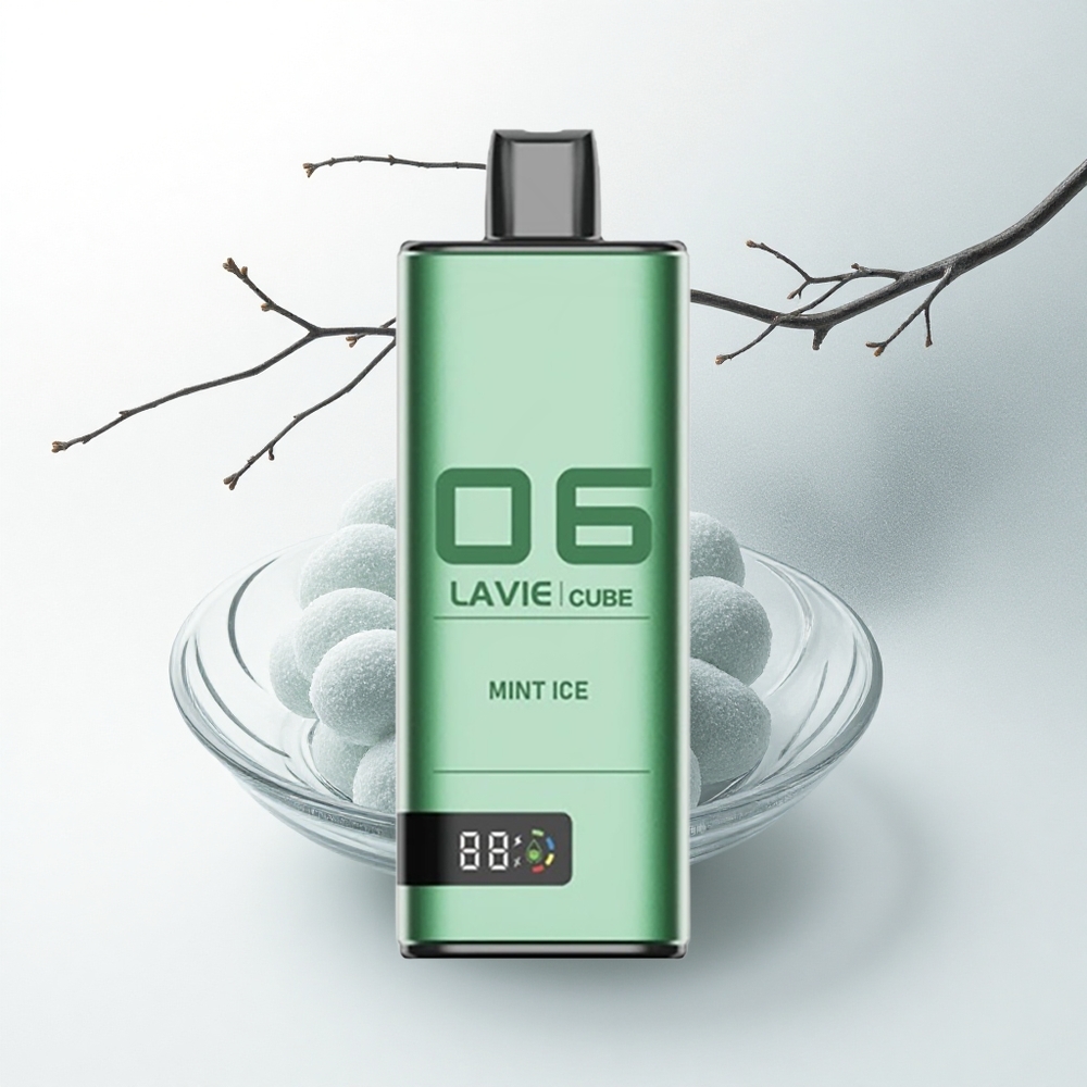Lavie Cube 20000 Puffs Munt IJs 28ML Type C